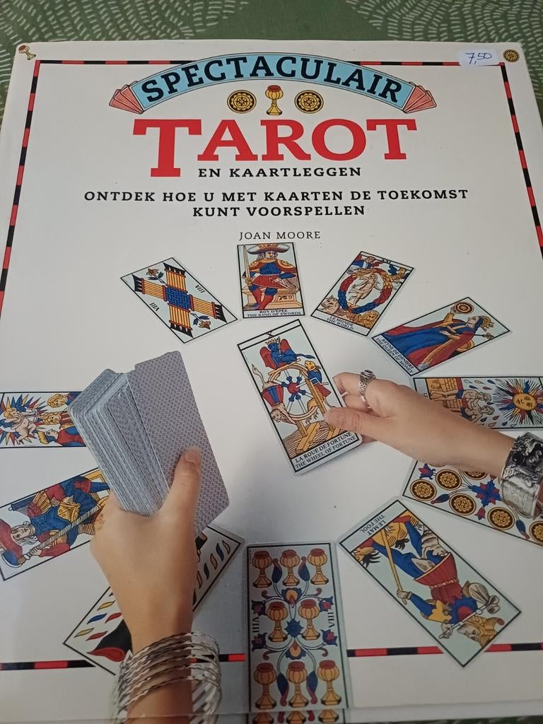 Boek Tarot en kaart leggen., Ophalen of Verzenden, Zegels, Bonnen of Punten