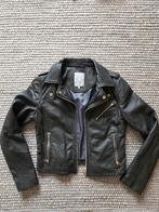 Goosecraft Stijlvol Zwart Leren Bikerjack - Maat S, Zwart, Ophalen of Verzenden, Maat 36 (S), Onbekend