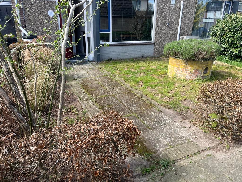 Terras reinigen | Tegels schoonmaken | Hogedruk service”, Diensten en Vakmensen, Tuinmannen en Stratenmakers, Tuinonderhoud of Snoeiwerk