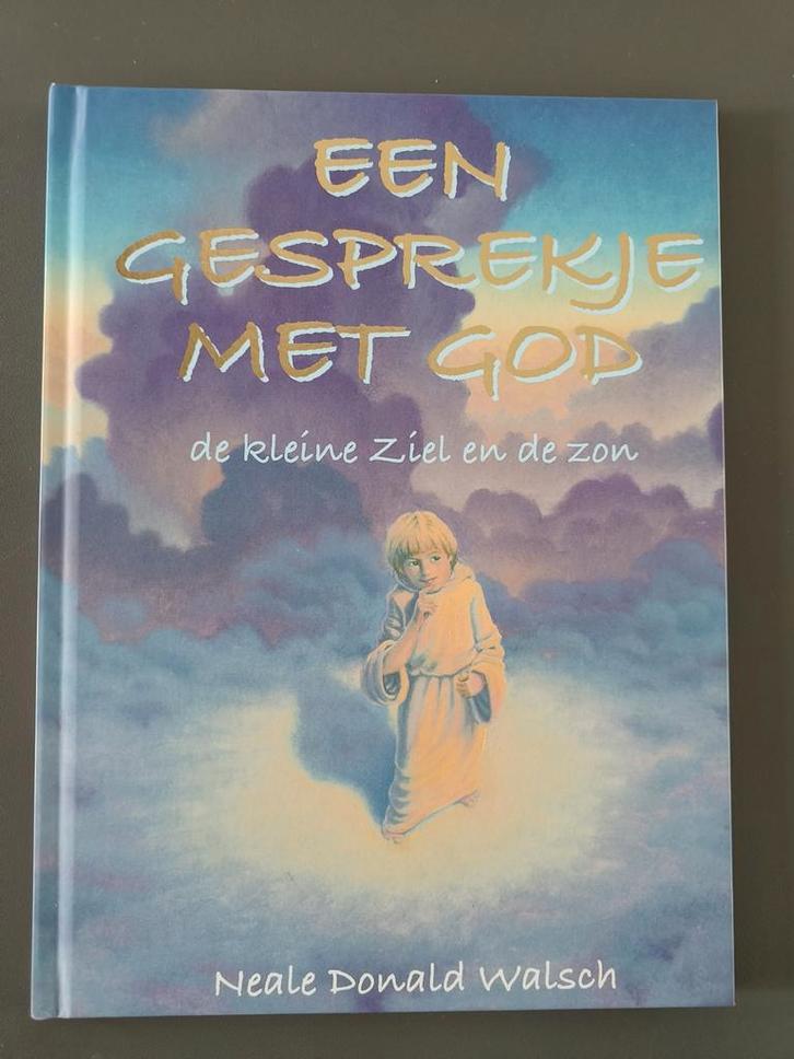 Een gesprekje met God - Neale Donald Walsch, Boeken, Godsdienst en Theologie, Zo goed als nieuw, Ophalen of Verzenden