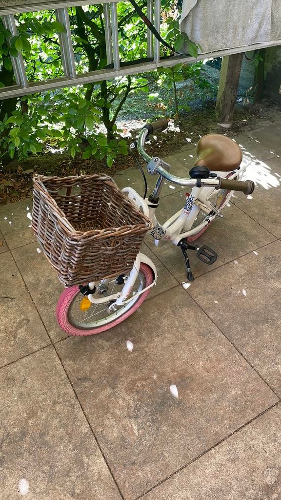 Kinderfiets Alpina Clubb wielmaat 16 inch, Ophalen, Gebruikt, Terugtraprem, 16 tot 20 inch