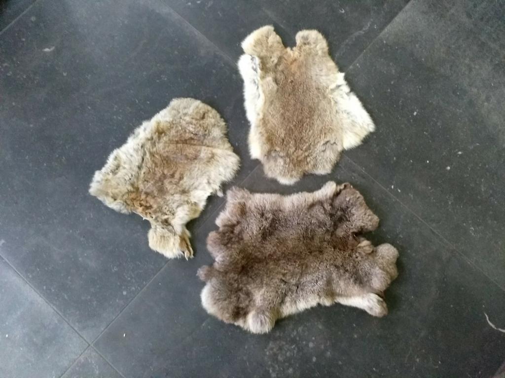 Konijnen vachtjes set van 3  mogelijkheden van ophalen kan !, Huis en Inrichting, Woonaccessoires | Plaids en Woondekens, Ophalen