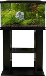 Aquarium met toebehoren, Ophalen, Zo goed als nieuw, Gevuld zoetwateraquarium