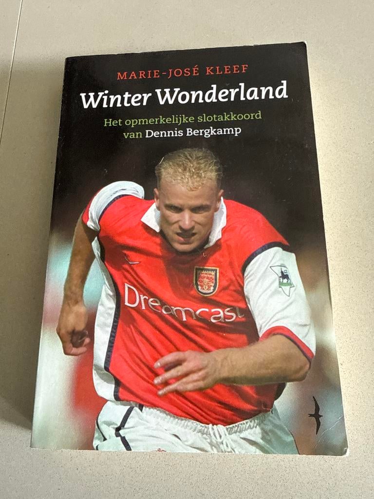 Winter Wonderland - Dennis Bergkamp Boek, Boeken, Ophalen of Verzenden, Gelezen, Balsport