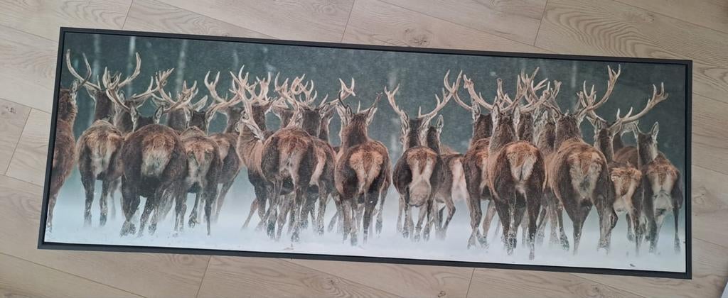 Schilderij met herten in de sneeuw, Ophalen of Verzenden, Schilderij