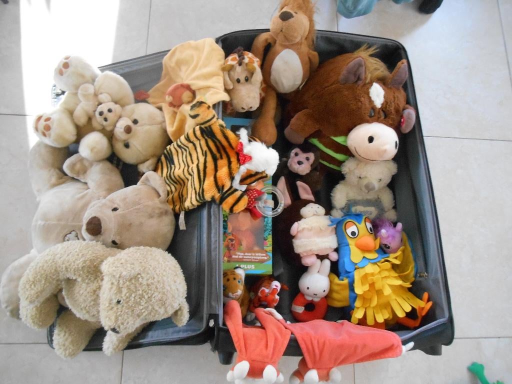 Mushabelly Knuffel met Geluid Varken Eend Konijn Paard Hond, Ophalen of Verzenden, Zo goed als nieuw, Hond