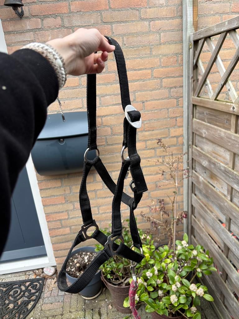 Diverse paarden spullen klein prijsje/ gratis, Ophalen of Verzenden, Zo goed als nieuw, Overige soorten