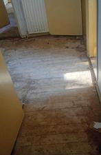 Mooie vloerplanken !, Tuin en Terras, Haardhout, Minder dan 3 m³, Ophalen of Verzenden