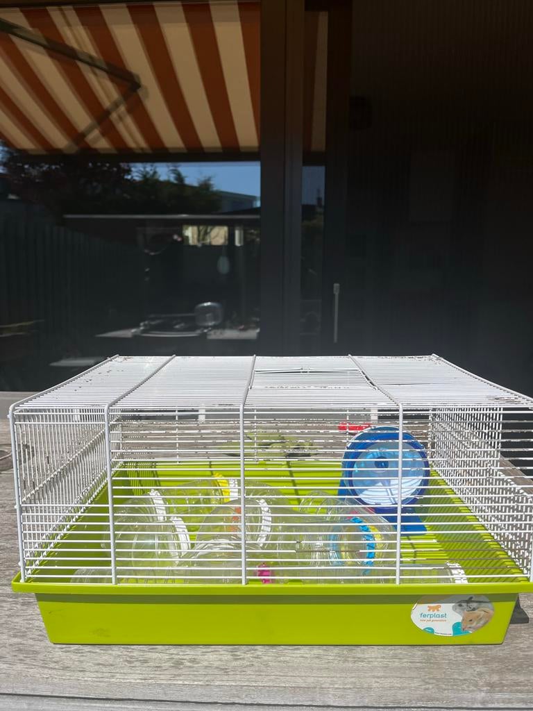 Ferplast hansterkooi dwerghamster, Dieren en Toebehoren, Minder dan 60 cm, Kooi, Gebruikt, Minder dan 75 cm