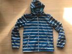 Icepeak softshell jas jongen maat 176 NIEUW, Ophalen of Verzenden, Nieuw, Jongen, Jas