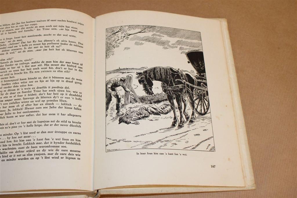 Fries Jeugdboek [1950] — Van Hichtum & Tjeerd Bottema, Ophalen of Verzenden, Gelezen, Noord-Brabant