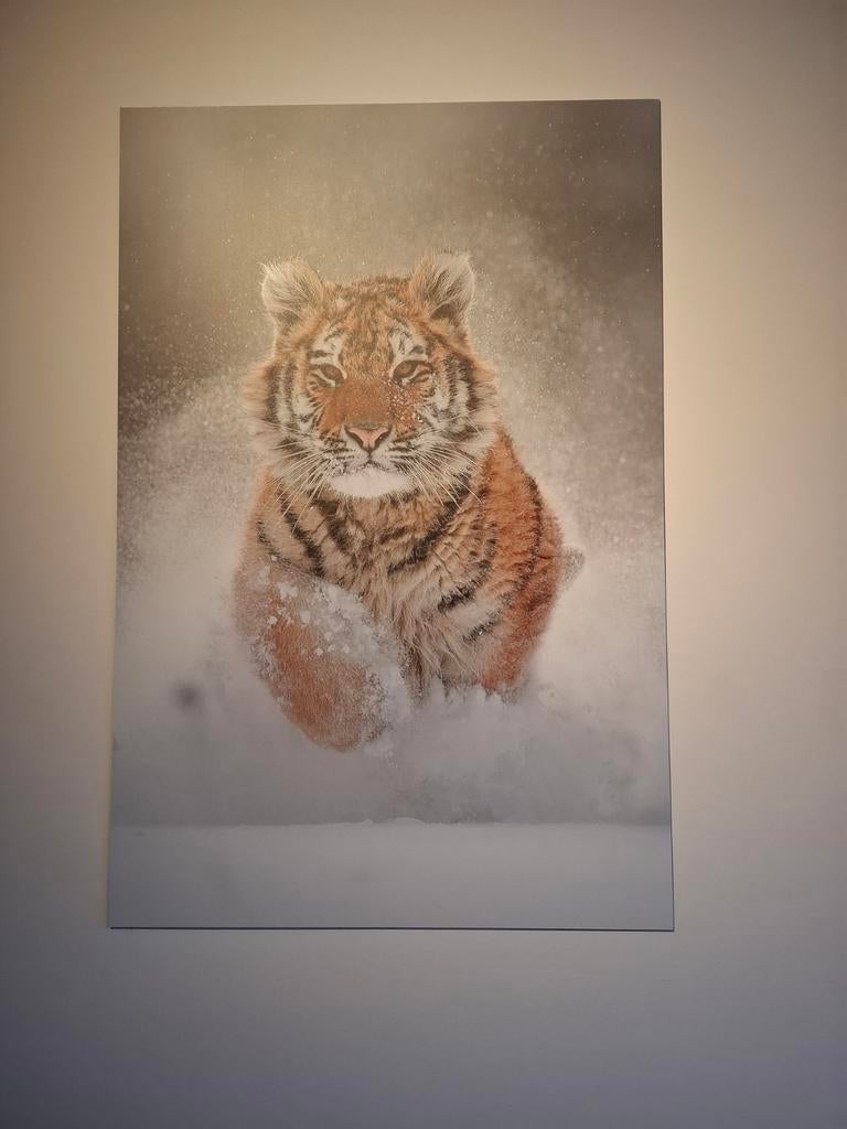 Schilderij op canvas, Huis en Inrichting, Woonaccessoires | Schilderijen, Tekeningen en Foto's, Ophalen, Nieuw, Schilderij, 75 cm of meer