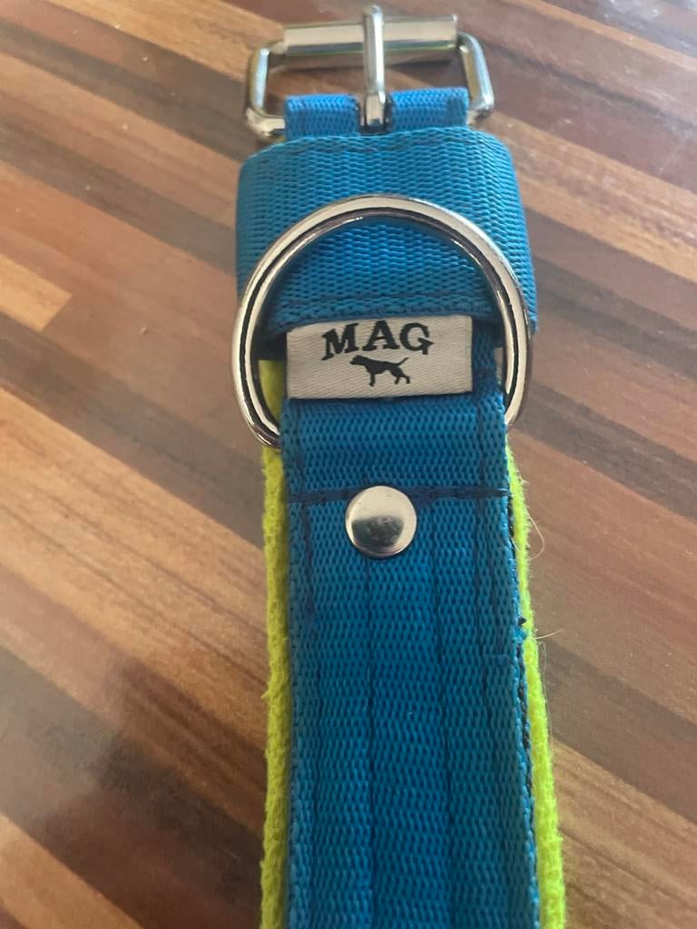 Halsband hond, Dieren en Toebehoren, Ophalen of Verzenden, Zo goed als nieuw