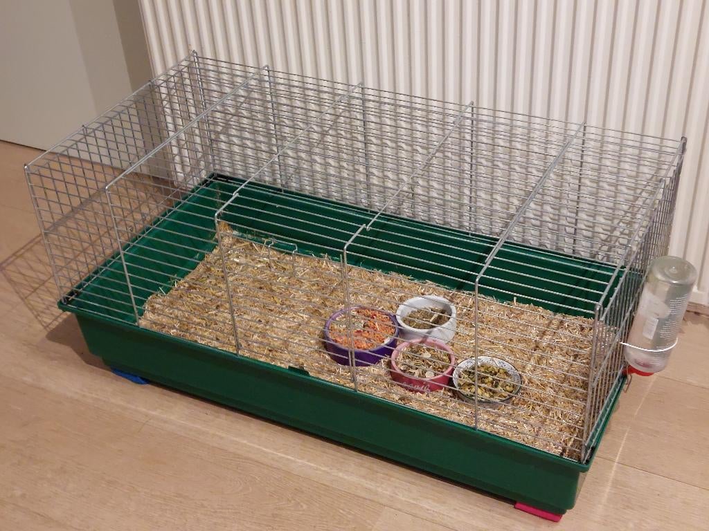 Cavia/ konijnen kooi + reismand, Kooi, Gebruikt, Fret, 75 tot 110 cm