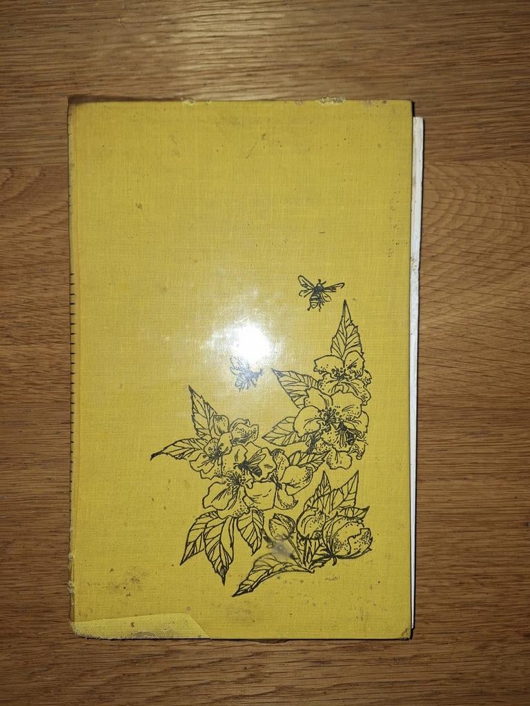 Het Grote Bijenboek - R.P. Groenveld, Ophalen of Verzenden