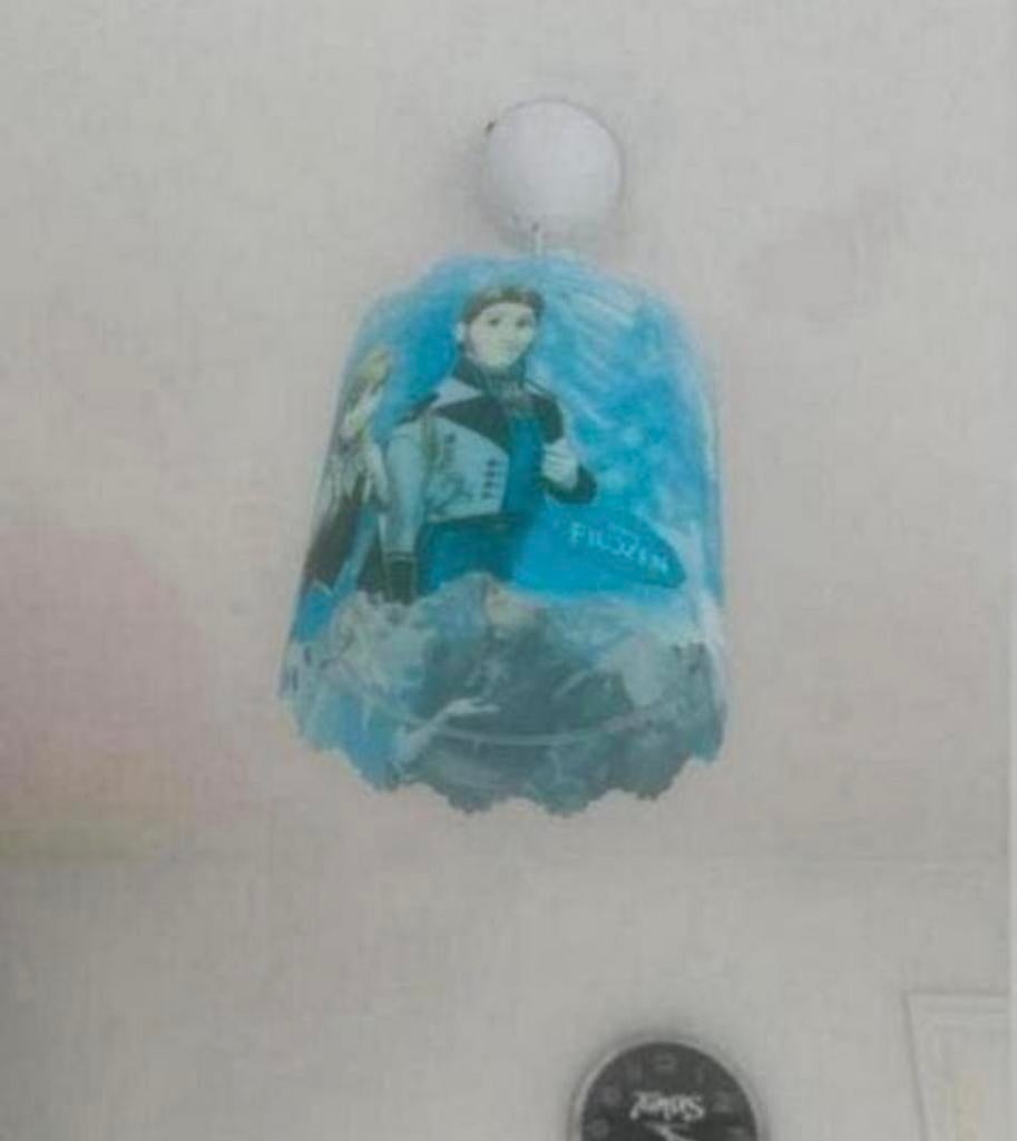 Frozen lamp, Ophalen, Nieuw, Minder dan 50 cm