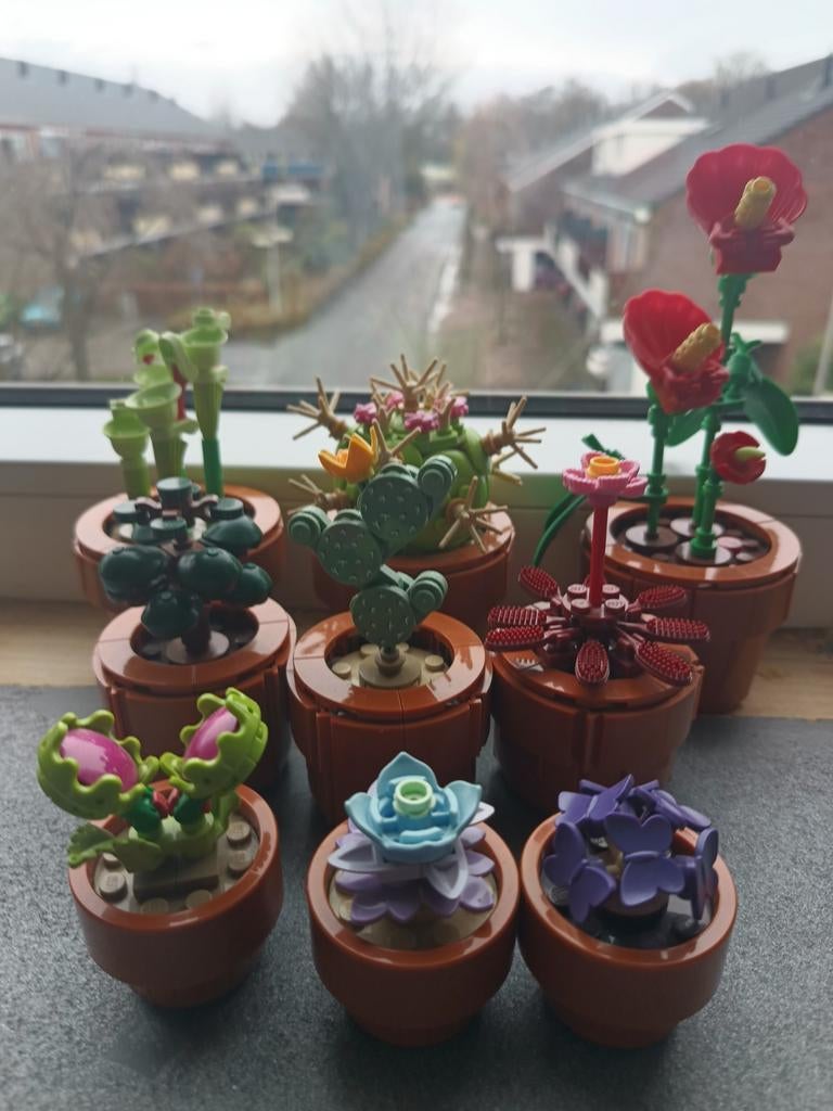 Lego 10329 Botanische Collectie: Cactussen en Plantjes, Overige thema's, Lego, Ophalen of Verzenden, Zo goed als nieuw