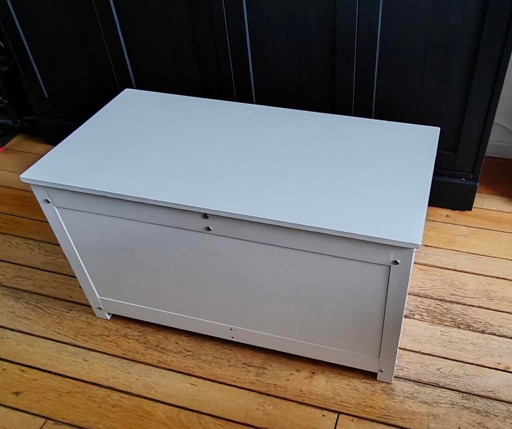 vidaXL opbergbox – massief grenenhout – wit – 804045,5 cm, Huis en Inrichting, Woonaccessoires | Kisten, Ophalen, Minder dan 50 cm