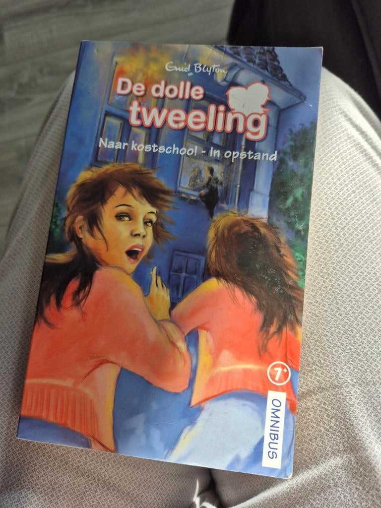 De Dolle Tweeling: Naar kostschool - In opstand, Boeken, Ophalen of Verzenden, Gelezen, Enid Blyton, Fictie algemeen