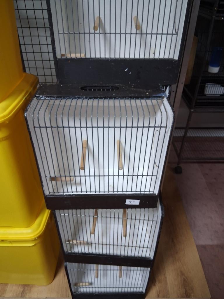 tt kooi tentoonstelling kooitjes vervoerskooi vogels, Ophalen, Hout, Vogelkooi
