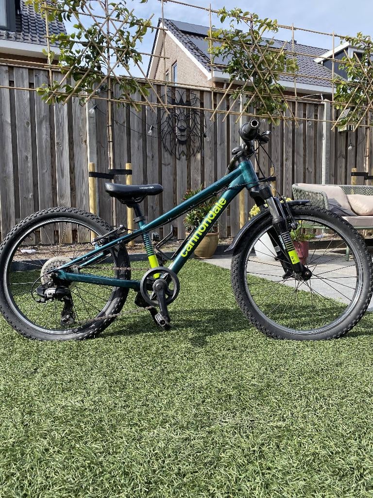 Cannondale Trail 20 inch | Kinder mountainbike | voorvering, Fietsen en Brommers, Fietsen | Kinderfietsjes, Ophalen, 20 inch of meer
