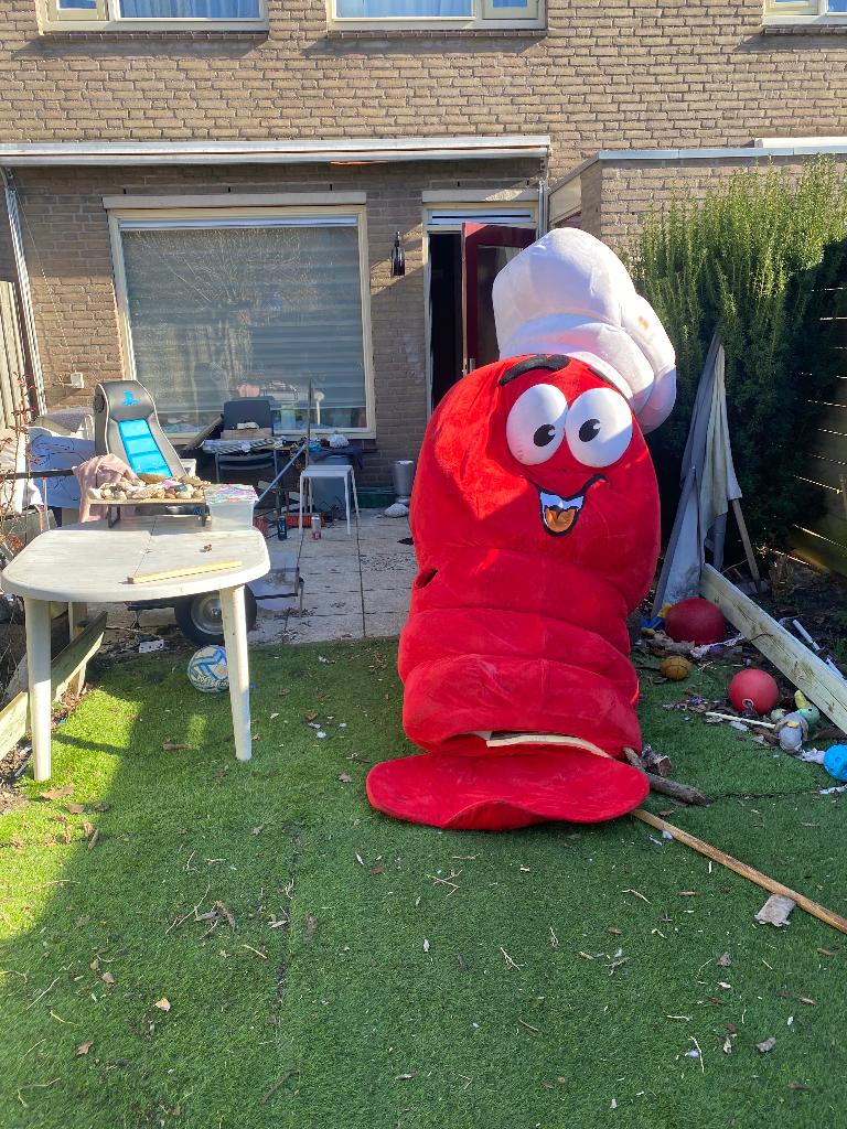 Verkleedpak kreeft, Ophalen, Gebruikt, 170 of groter, Jongen of Meisje