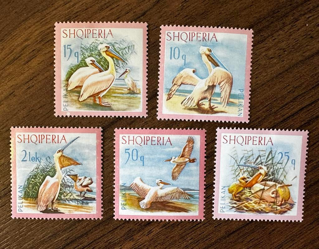 Albanië 1967 Pelikanen vogels ongebruikt, Ophalen of Verzenden, Overige landen