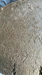 Wandplaquette Hannie Mein 1969 - Vissen, Ophalen of Verzenden