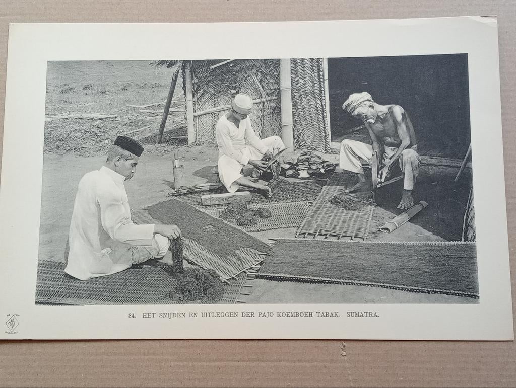 Foto gravure Nederlands Indië Sumatra 1910, Verzamelen, Ophalen of Verzenden
