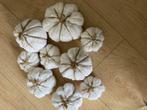 14 decoratie pompoenen, Ophalen, Zo goed als nieuw