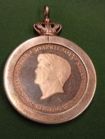 Penning / zilveren hanger Willem-Alexander & Beatrix, Ophalen of Verzenden, Overige materialen