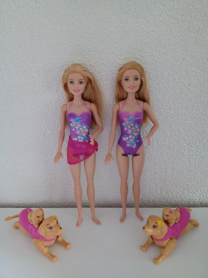 2 Barbie Poppen DMC32 en Honden van Swimmin' Pup Pool, Kinderen en Baby's, Speelgoed | Poppen, Gebruikt, Barbie, Ophalen of Verzenden