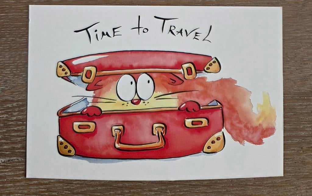 KAT KOFFER REIZEN , meerdere beschikbaar, Ophalen, 1980 tot heden, Hond of Kat