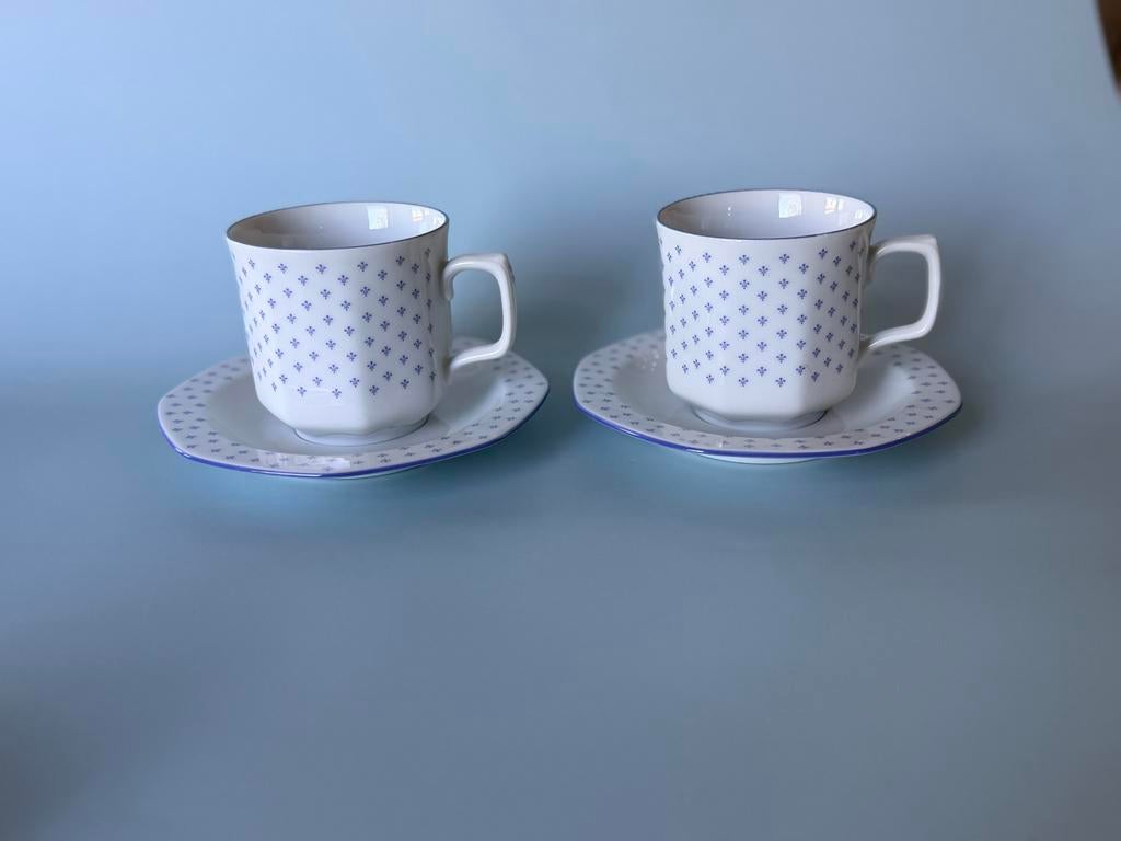 Vintage Seltmann Weiden Bavaria Aurelia kop en schotel set, Antiek en Kunst, Antiek | Servies los, Ophalen of Verzenden