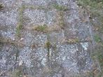 Grinttegels, Tuin en Terras, Tegels en Klinkers, Ophalen, Gebruikt, 10 m² of meer, Beton
