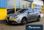 Alfa Romeo Giulietta 1.4 Turbo MultiAir Leder Navi, Euro 6, 4 cilinders, Bedrijf, Zilver of Grijs