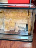 Mooi Terrarium 1005040 met 3D Achterwand – Glas – Goed, Dieren en Toebehoren, Ophalen, Zo goed als nieuw, H, H