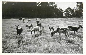 (388-396-039) Driebergen-Rijsenburg Hertenkamp beschikbaar voor biedingen