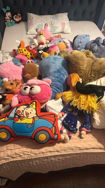 Knuffels beschikbaar voor biedingen