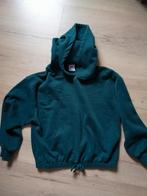 Zara hoody trui maat 10 jaar, Kinderen en Baby's, Kinderkleding | Maat 140, Ophalen of Verzenden, Zo goed als nieuw, Trui of Vest