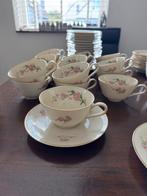 Prachtig theeservies antiek, Huis en Inrichting, Keuken | Servies, Ophalen of Verzenden, Zo goed als nieuw, Overige stijlen, Kop(pen) en/of Schotel(s)