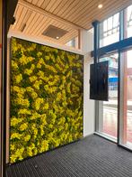 Mos panelen wanddecoratie - 120x80cm - Nieuw, Ophalen, Nieuw