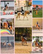 Lieve en brave kinderpony, Dieren en Toebehoren, Pony's, Merrie, A pony (tot 1.17m), 11 jaar of ouder, Met stamboom