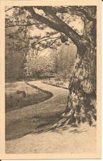 Hortus Botanicus Rijksuniversiteit te Leiden., Verzamelen, Ophalen of Verzenden, 1940 tot 1960, Ongelopen, Zuid-Holland