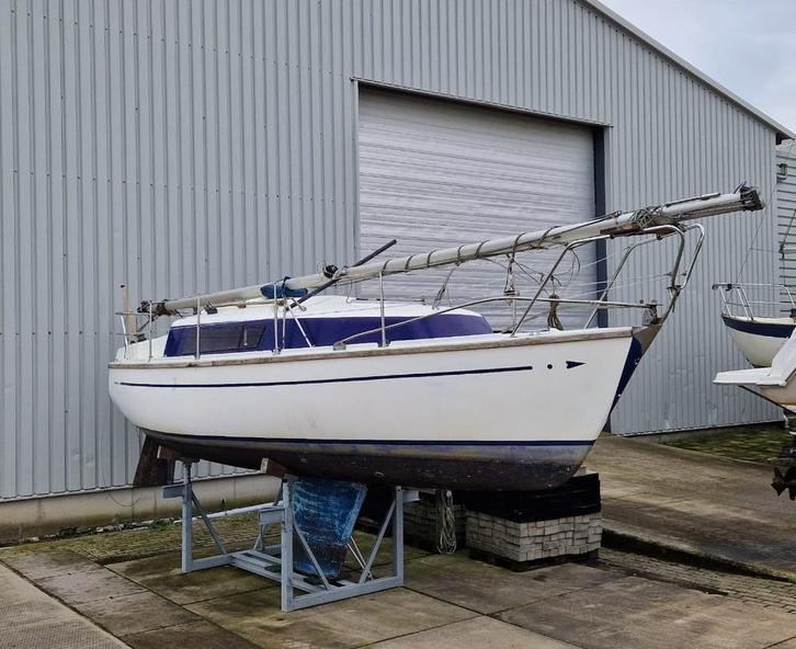 zeilboot sirius 24 met binnenboordmotor, Watersport en Boten, Kajuitzeilboten en Zeiljachten, Gebruikt, Wedstrijdjacht of Racer