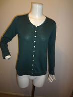 Peter Hahn vest mt 38, Kleding | Dames, Truien en Vesten, Maat 38/40 (M), Verzenden, Zo goed als nieuw, Peter Hahn