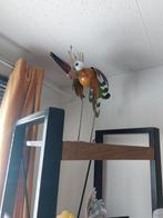 Te koop, Ophalen of Verzenden