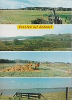 SCHOORL Landschappen Paarden Groeten, Verzamelen, Ansichtkaarten | Nederland, Gelopen, Noord-Holland, Verzenden, 1980 tot heden
