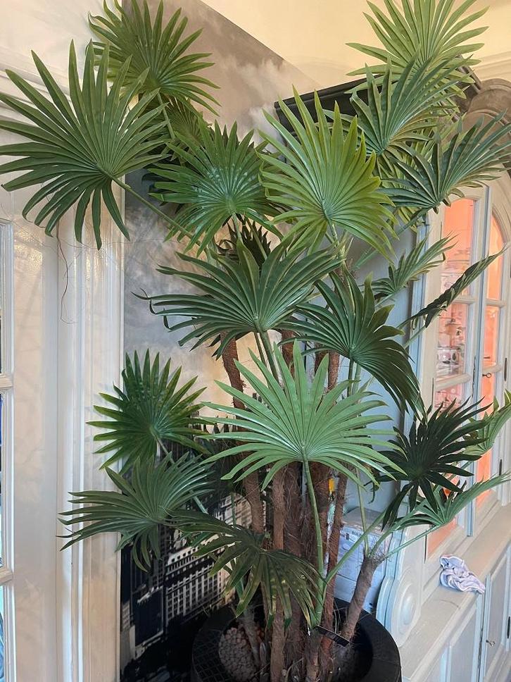 NIEUWE HOGE KUNST PALMBOOM KUNSTBOOM ESDOORN, Huis en Inrichting, Woonaccessoires | Kunstplanten en Kunstbloemen, Nieuw, Binnen