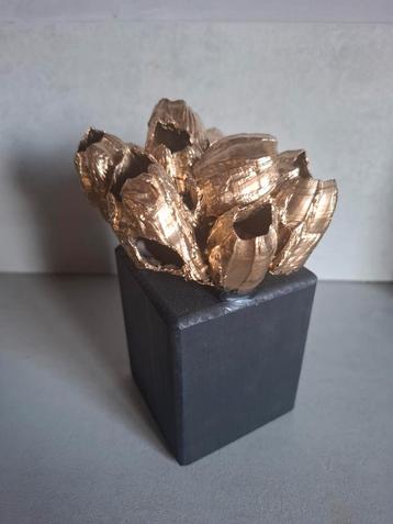 Goud kleurige zeepokken op een zwart houten blok beschikbaar voor biedingen